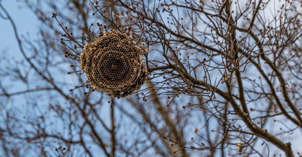 Comprendre le syndrome du nid vide : causes et solutions pour 2025 découvrez ce qu'est le syndrome du nid vide, ses causes, symptômes et conseils pour bien vivre cette transition après le départ des enfants.
