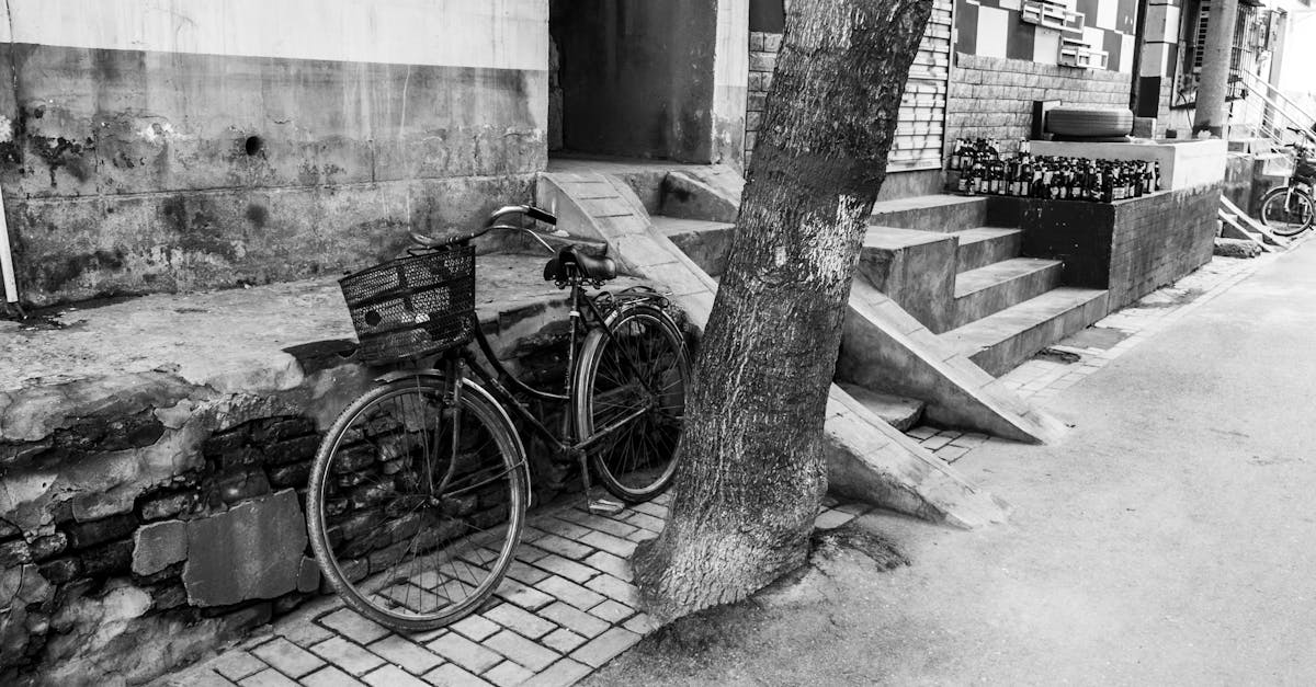 découvrez le syndrome du nid vide : causes, symptômes et conseils pour mieux vivre cette étape de transition après le départ des enfants du foyer familial.