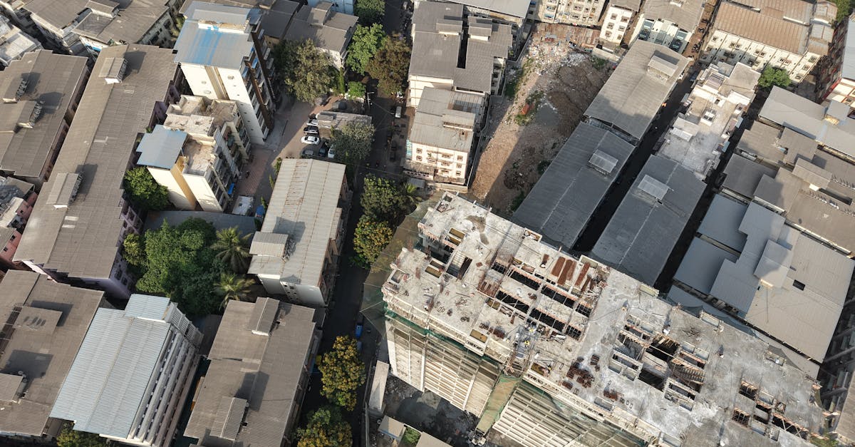 découvrez le développement du cortex préfrontal, une zone clé du cerveau impliquée dans la prise de décision, le contrôle des émotions et la planification, et comprenez son influence sur le comportement humain à différentes étapes de la vie.