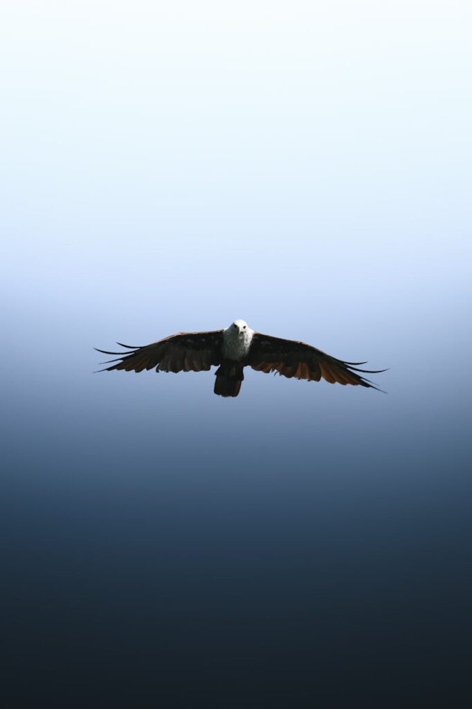 L’hypersomnie : comprendre comment elle peut entraver votre quotidien L'hypersomnie : comprendre comment elle peut entraver votre quotidien