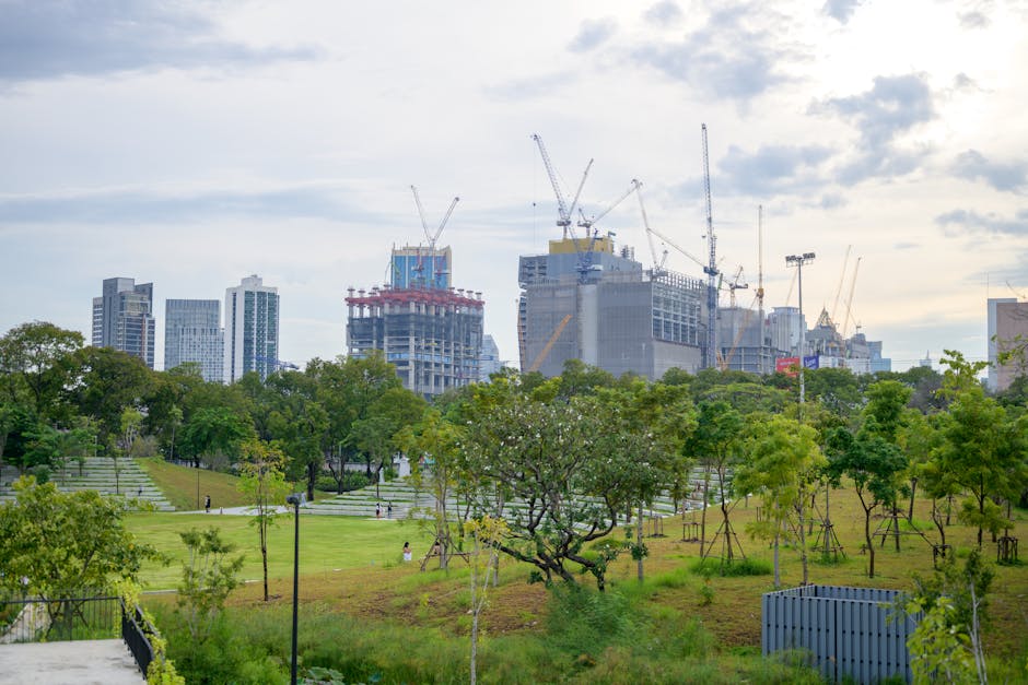 City park with trees and urban skyline