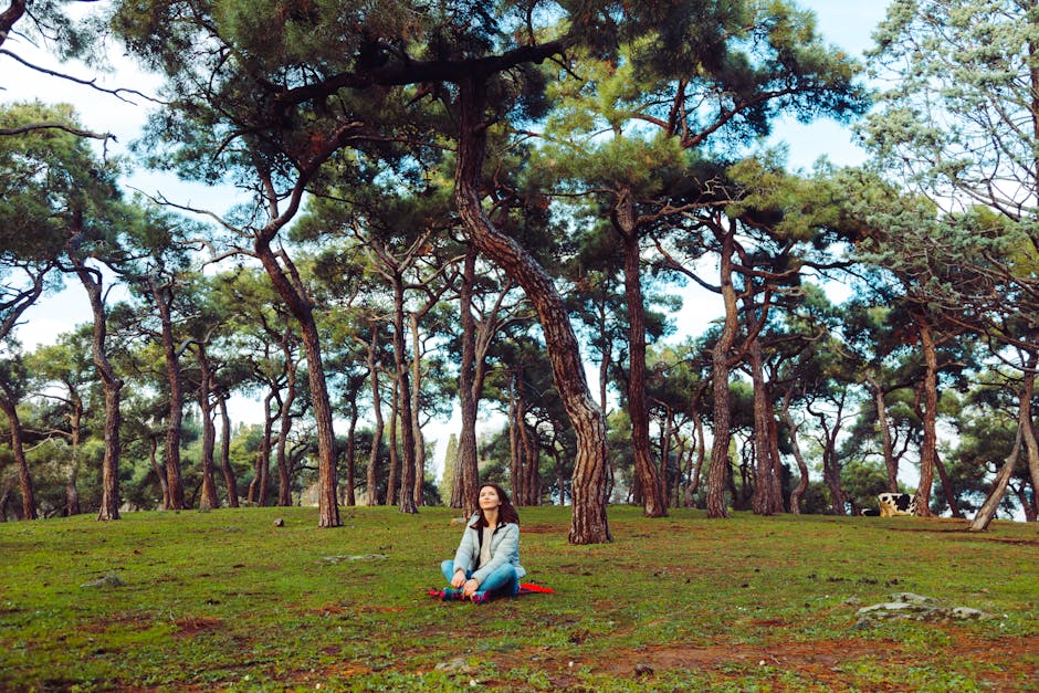 Person meditating in a forest retreat