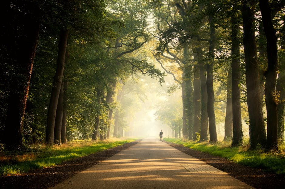 Person walking outdoors mindfully in nature and noticing the present moment