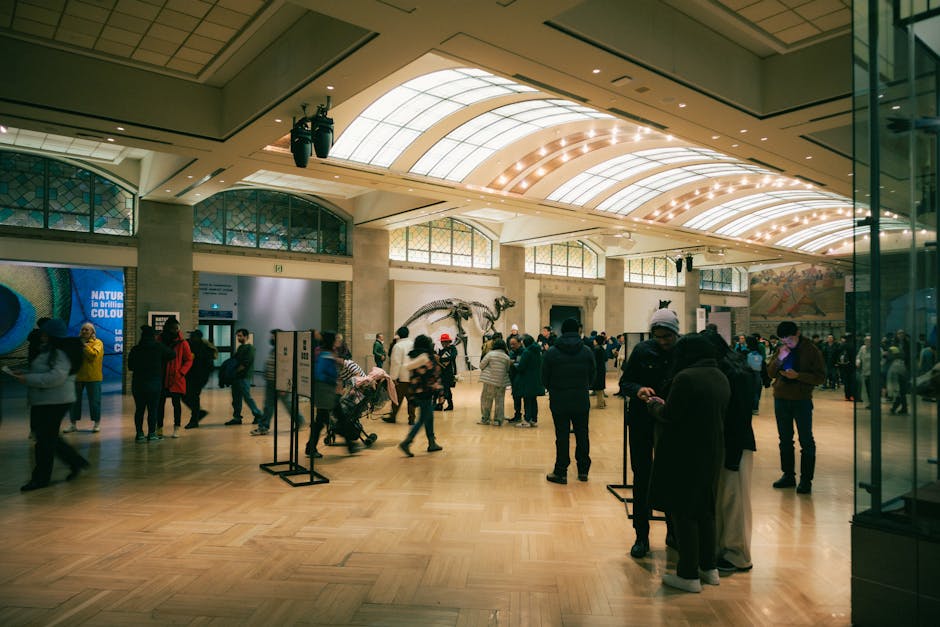 Person exploring a museum exhibit with interest