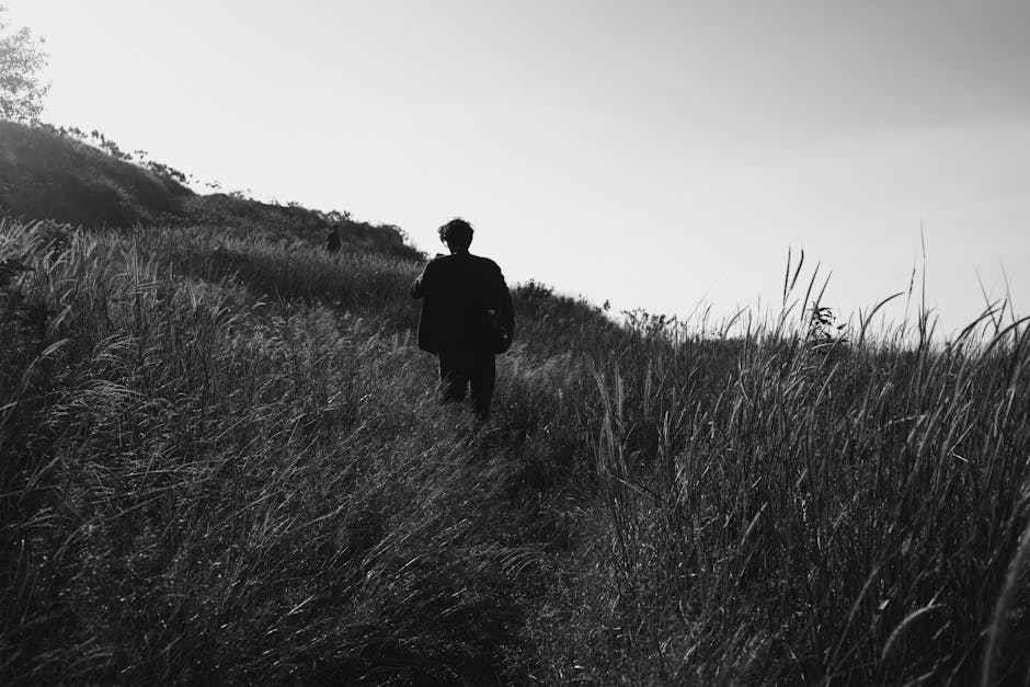 Person walking on a winding path symbolizing resilience and adaptation