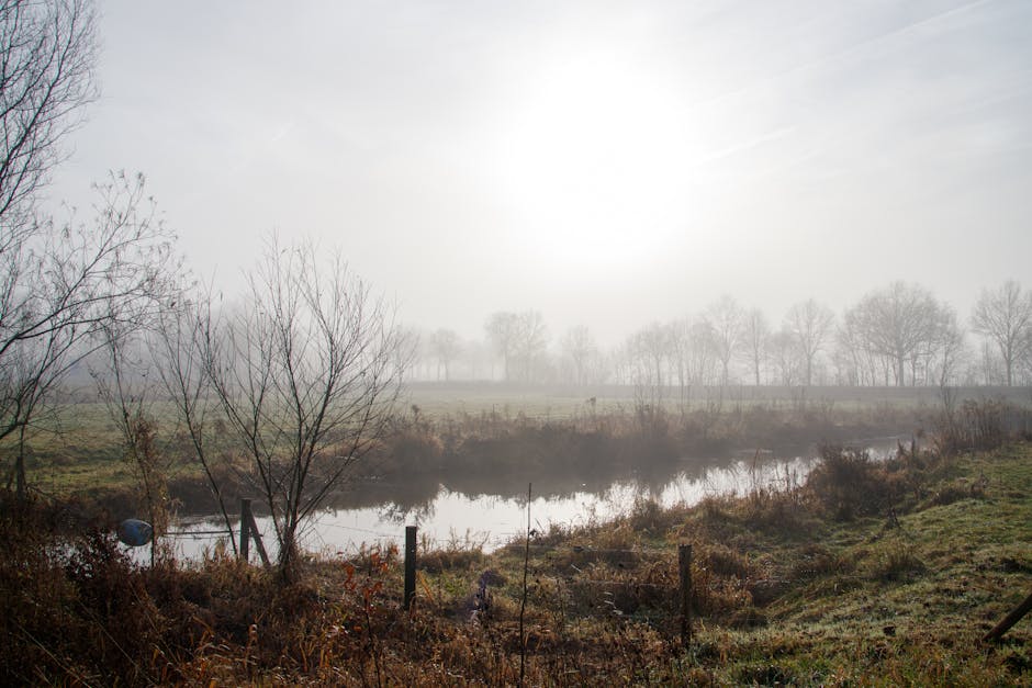 Photographer observing light and landscape slowly in nature