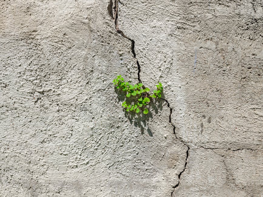 Person walking on a path toward a brighter future