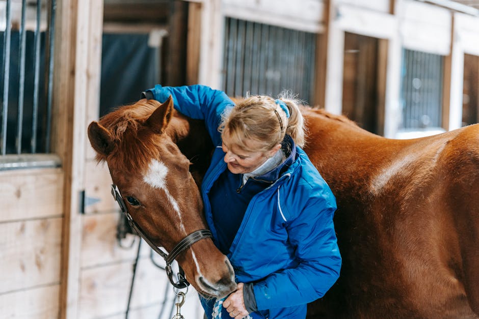 Horse therapy session in rural nature