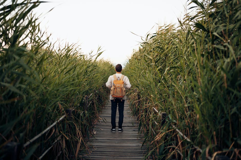 Person walking alone outdoors, representing resilience and rebuilding after separation