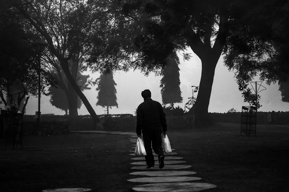 Silhouette walking alone on a path through a foggy landscape