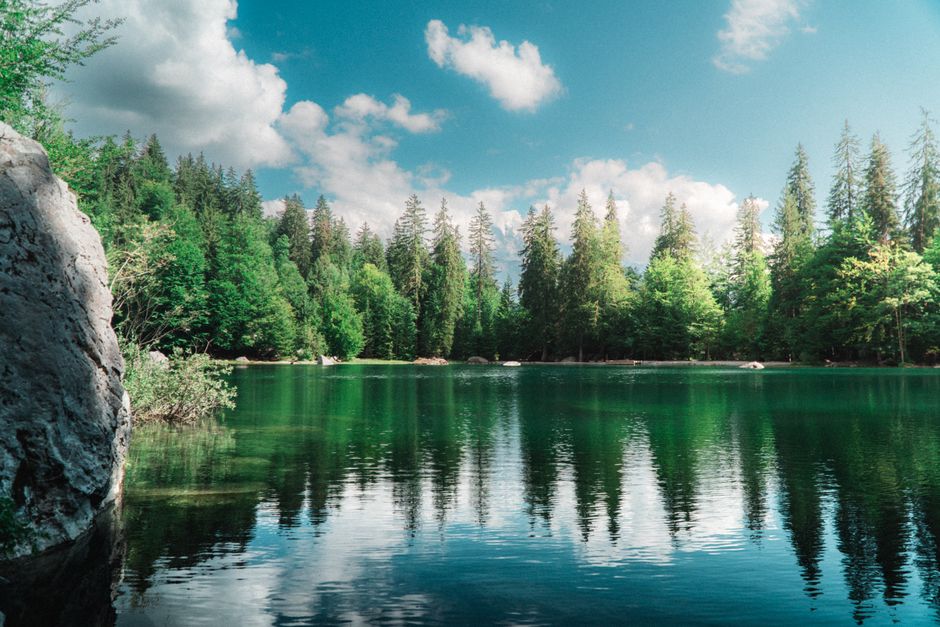 L’activisme environnemental et le sens psychologique : éco-anxiété, engagement et santé mentale Tranquil mountain lake with lush green trees reflecting in the clear water under a blue sky.
