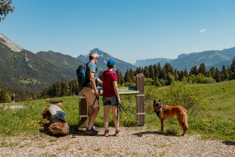 La parentalité et la quête de sens : ce que disent vraiment les parents aujourd’hui A couple enjoys a hike with their dog in beautiful mountain scenery on a clear day.