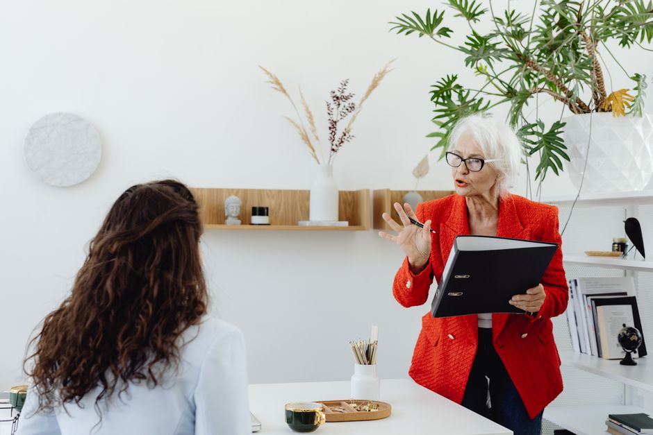 Two professionals in a mentoring meeting at work