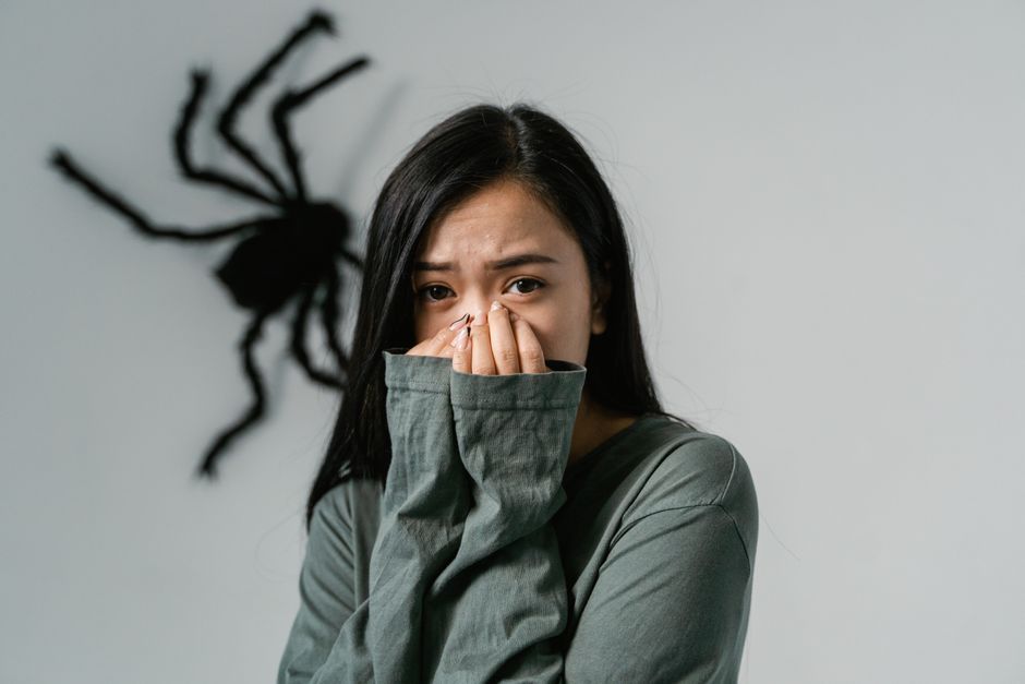 An anxious woman indoors with a large wall spider, depicting arachnophobia.
