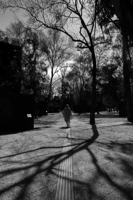 Dramatic black and white image of a lone person in a park creating striking shadows.