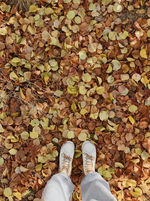 Person standing on a bed of autumn leaves showing white sneakers from above.