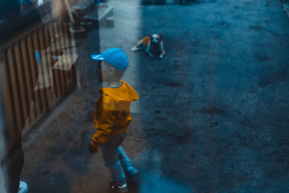 A child wearing a yellow hoodie and blue cap, observed through a window reflection.