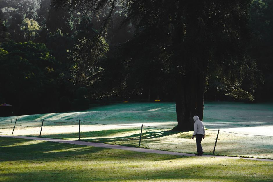 A person in a hoodie walking alone in a tranquil park, surrounded by lush greenery and sunlight.