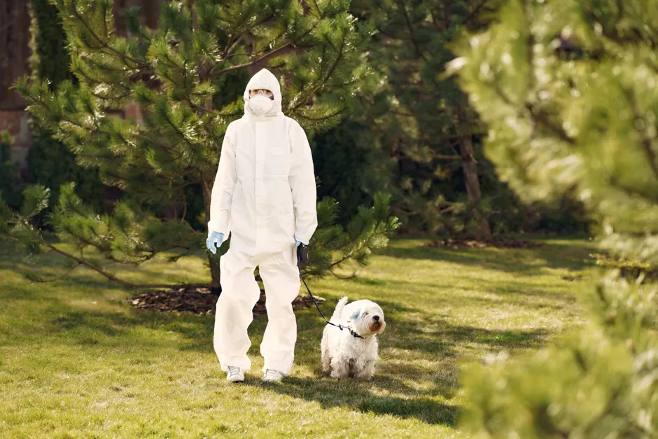 Zoophobie : quand la peur des animaux restreint la vie quotidienne A person in a protective suit walking a white dog on a leash outdoors in a grassy park setting.
