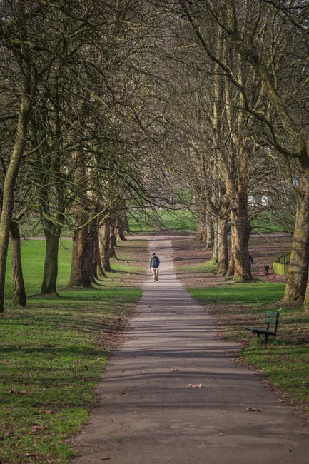A solitary figure walks down a tranquil tree-lined pathway in a park during daytime.
