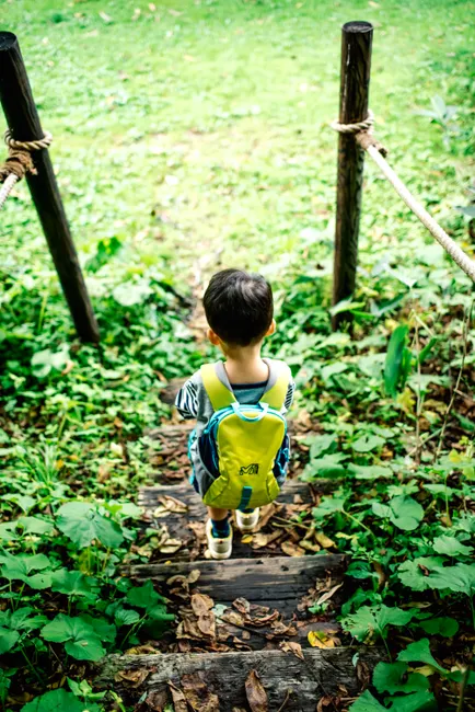 Child with backpack walking down wooden steps surrounded by lush greenery.