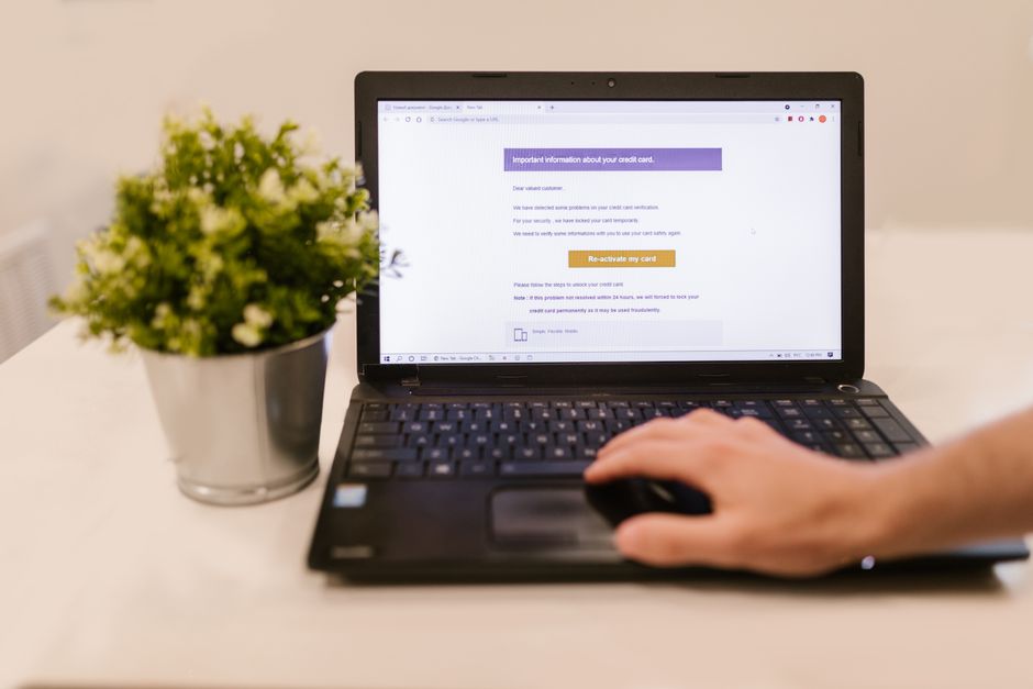 Test bipolaire en ligne : ce qu’il indique et ce qu’il ne prouve pas Person using a laptop to read an email indoors beside a potted plant.