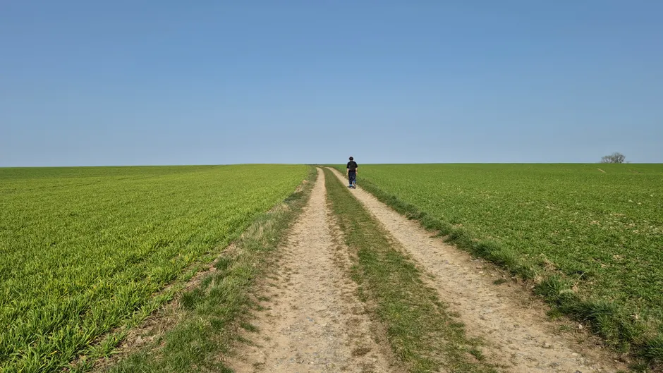 A person walking alone on a rural dirt path between fields under a clear blue sky.