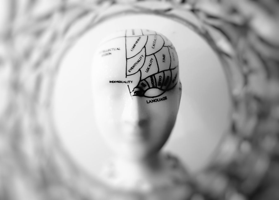 Aire de Broca : le cerveau ne parle pas avec un seul bouton Close-up black and white image of a phrenology head with brain sections labeled.