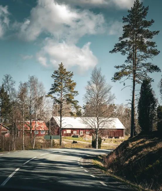 Idyllic rural road leading to a farmhouse surrounded by trees under a partly cloudy sky.