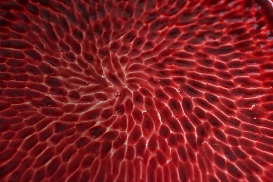Urticaire et stress : comprendre le cercle entre démangeaisons, sommeil et anxiété Intricate red ripple pattern texture, ideal for backgrounds or wallpaper designs.