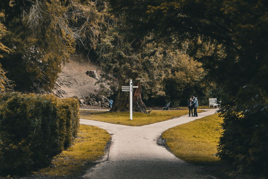 Renoncer à un objectif sans renoncer à soi : la psychologie du désengagement Picturesque park scene with a forked path and signpost, inviting exploration.