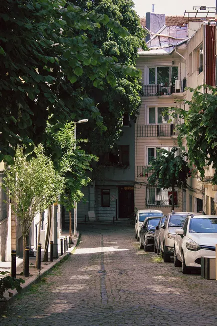 Serene cobblestone street lined with cars and lush greenery, perfect for a quaint residential neighborhood scene.